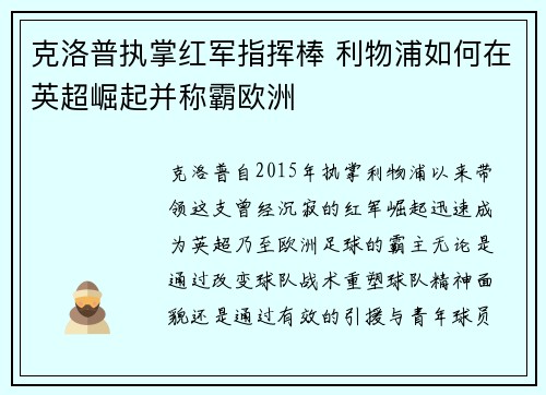 克洛普执掌红军指挥棒 利物浦如何在英超崛起并称霸欧洲