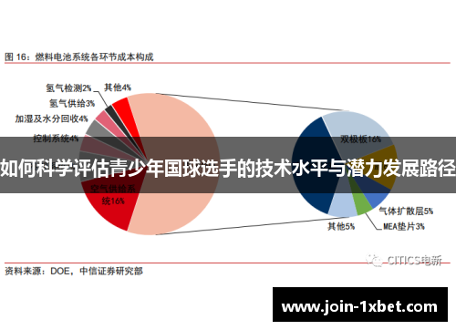 如何科学评估青少年国球选手的技术水平与潜力发展路径